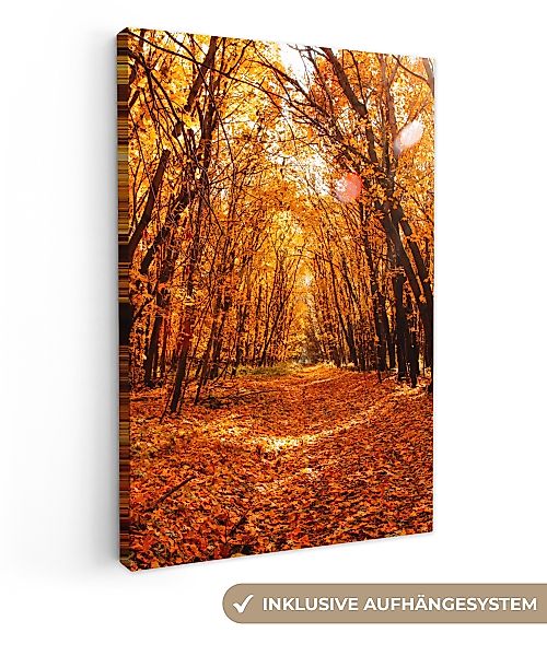 OneMillionCanvasses® Leinwandbild Herbst - Wald - günstig online kaufen