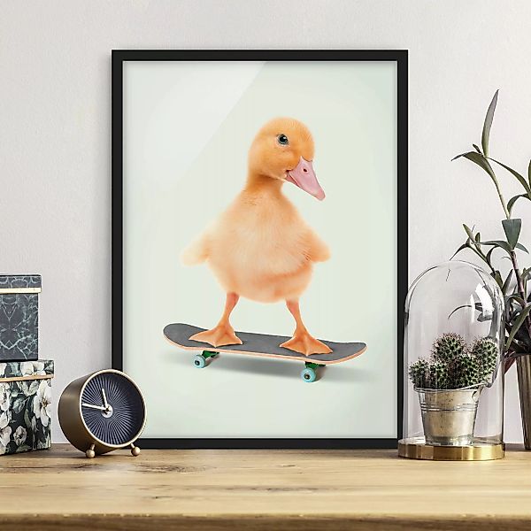 Bild mit Rahmen Skate Ente günstig online kaufen