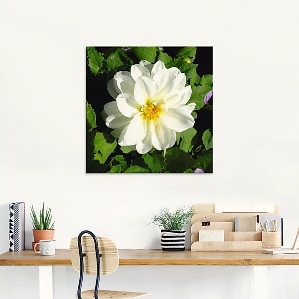 Artland Glasbild "Weiße Dahlienblüte", Blumen, (1 St.) günstig online kaufen