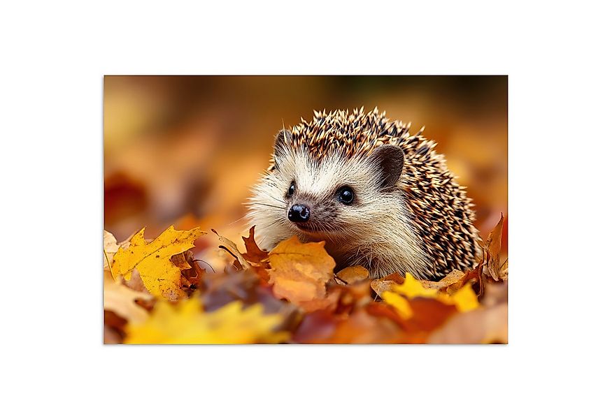 MuchoWow Poster Igel - Wald - Herbstlaub - Herbst - Waldtiere - Natur, (1 S günstig online kaufen