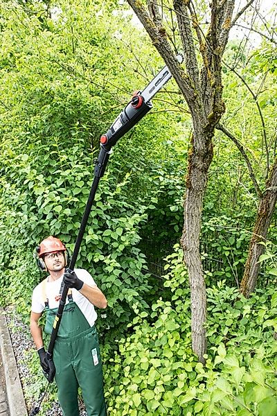 WALTER Elektro-Kettensäge Teleskop Kettensäge & Heckenschere günstig online kaufen