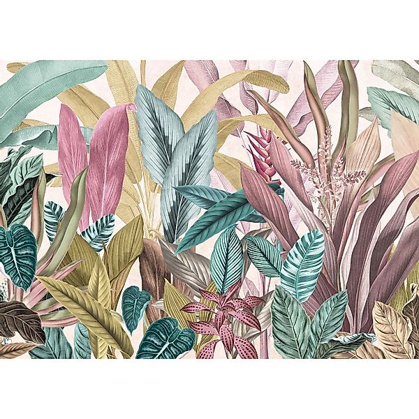 Komar Fototapete Mathilda Multicolor 350 x 250 cm 610025 günstig online kaufen