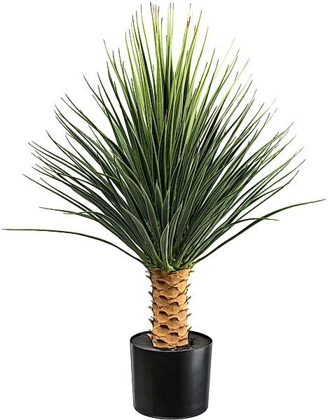 Kunstpflanze Yucca Rostrata auf Stamm Yucca, günstig online kaufen