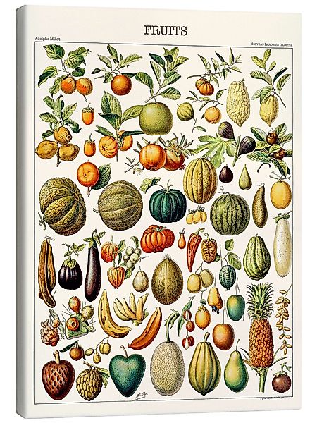 Posterlounge Wandbild Illustration von Früchten, 1923, günstig online kaufen