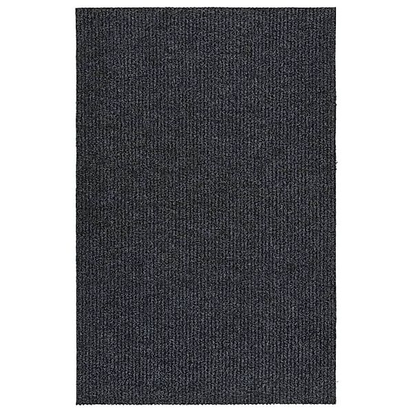 Schmutzfangleufer 100x150 Cm Anthrazit günstig online kaufen