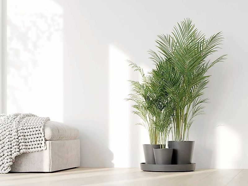 ECOPOTS Blumentopf "Dubai Grau", für innen und außen: frostsicher, bruchsic günstig online kaufen