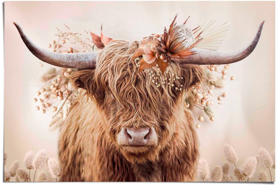 Reinders Poster "Highlander in Blumen" günstig online kaufen