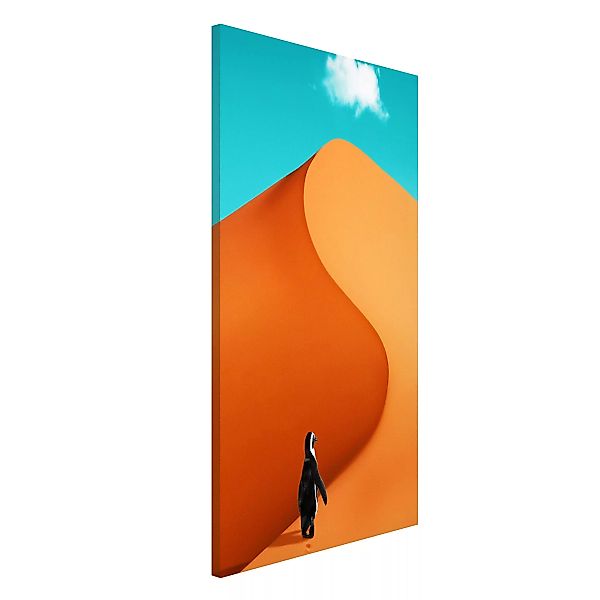 Magnettafel Natur & Landschaft - Hochformat 3:4 Wüste mit Pinguin günstig online kaufen