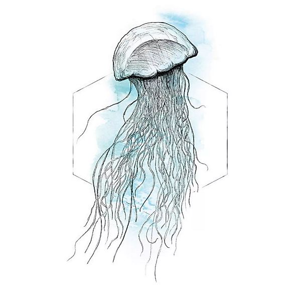 Komar Wandbild Jellyfish Watercolor Tiere B/L: ca. 40x50 cm günstig online kaufen