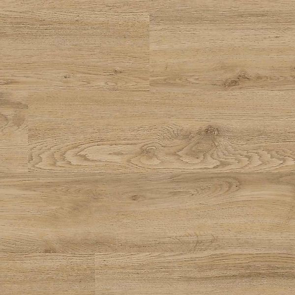 Project Floors Klebe-Vinylboden Home/30 PW 3240/30 günstig online kaufen