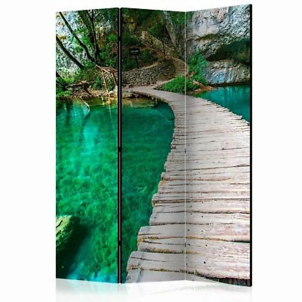 artgeist Paravent Plitvice Lakes National Park, Croatia [Room Dividers] meh günstig online kaufen