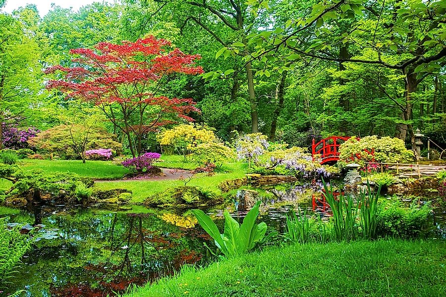 Papermoon Fototapete "GARTEN-BLUMEN BÄUME PFLANZEN STEINE WALD PARK BLÜTEN" günstig online kaufen