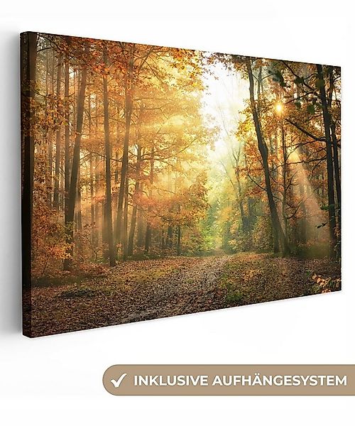 OneMillionCanvasses® Leinwandbild Wald - Herbst - Sonne - Landschaft - Natu günstig online kaufen
