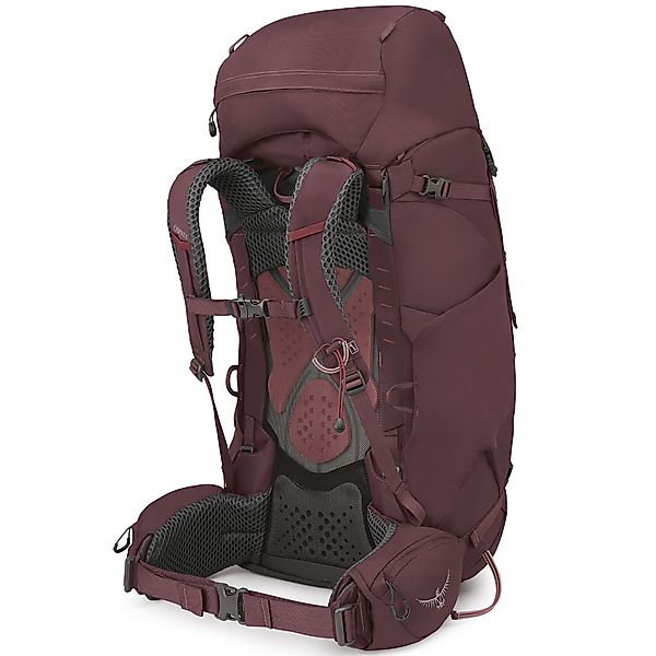 Osprey Kyte 68 Elderberry Purple günstig online kaufen
