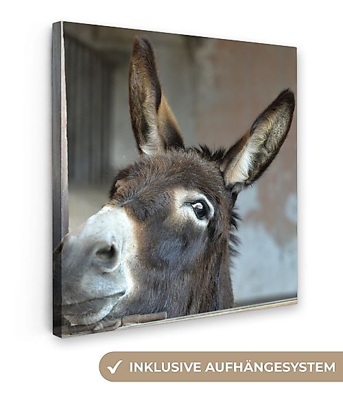 OneMillionCanvasses® Leinwandbild Esel, Fotodruck (1 St), günstig online kaufen