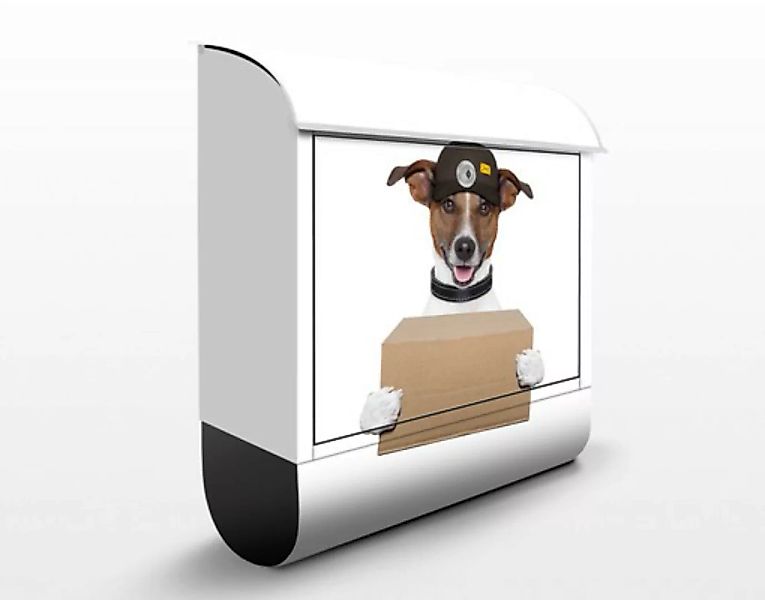 Briefkasten Tiere Hund mit Paket günstig online kaufen