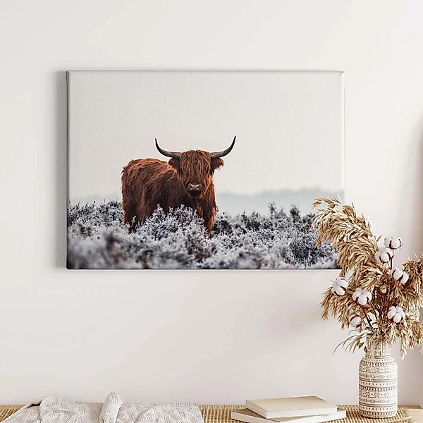 Bricoflor Leinwand Bild Mit Ochse In Feld Tier Wandbild Ideal Für Wohnzimme günstig online kaufen