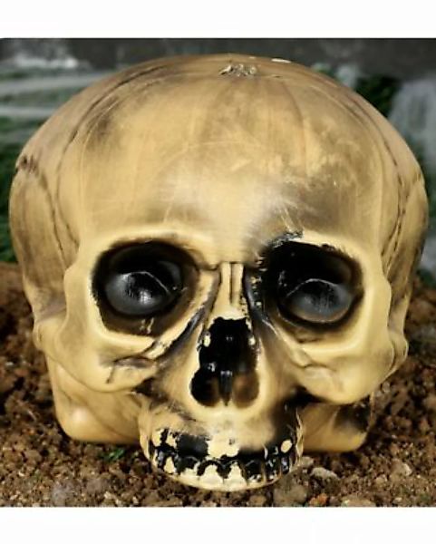 Totenkopf ohne Kiefer aus Kunststoff Halloween 20cm Partydeko beige  Kinder günstig online kaufen