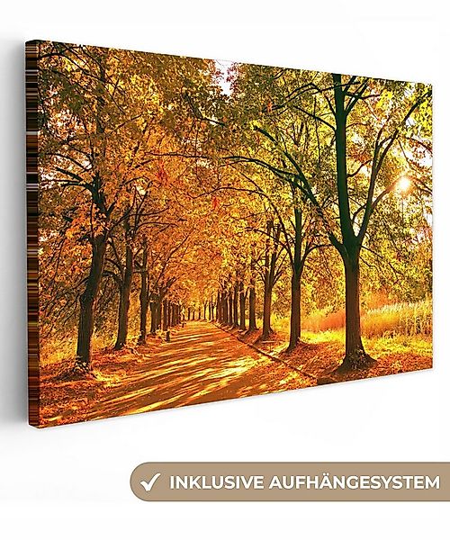 OneMillionCanvasses® Leinwandbild Wald - Herbst - Jahreszeiten - Ländlich, günstig online kaufen