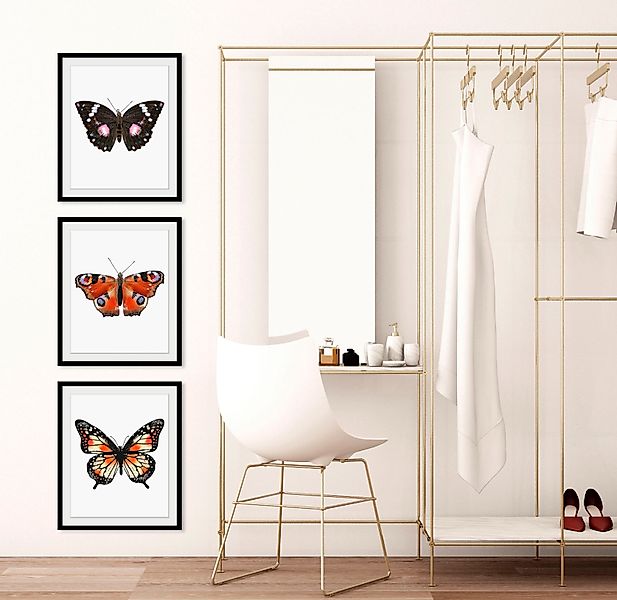 queence Bild »Anastasia«, Schmetterlinge-Kunst-Insekten-Schwarz-Weiß, (1 St günstig online kaufen