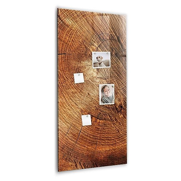 Tulup Glas Magnettafel Querschnitt Des Stammes 60x120 cm Magnettafel Zum Be günstig online kaufen