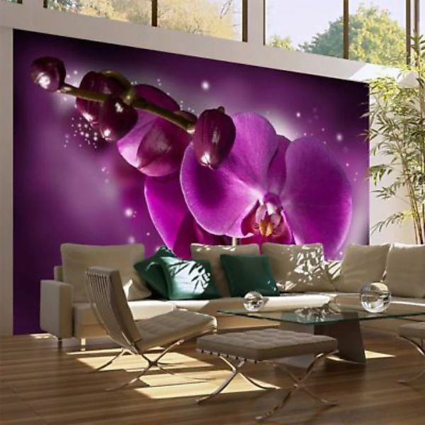 artgeist Fototapete Märchen und Orchidee mehrfarbig Gr. 450 x 270 günstig online kaufen