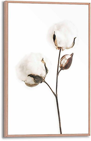 Reinders! Poster Baumwollzweig günstig online kaufen