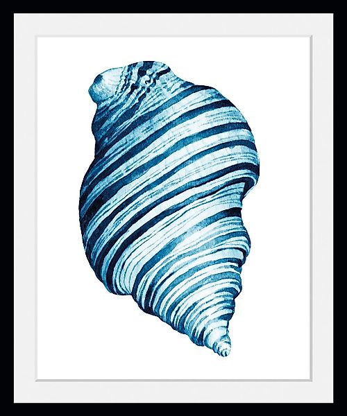 queence Bild »Lisbeth«, Meer-Wassertiere-Kunst, (1 St.), HD Premium Poster- günstig online kaufen