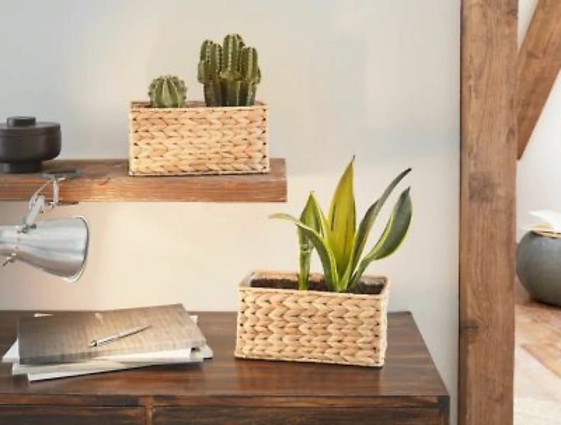 HOME Living Pflanzer SPAR-SET 2x Wasserhyazinthe Blumentöpfe natur günstig online kaufen