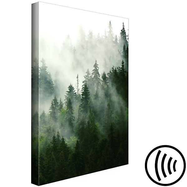 Wandbild Coniferous Forest (1 Part) Vertical XXL günstig online kaufen