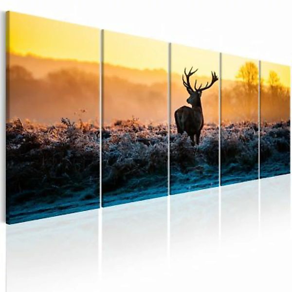 artgeist Wandbild Winter Afternoon mehrfarbig Gr. 200 x 80 günstig online kaufen
