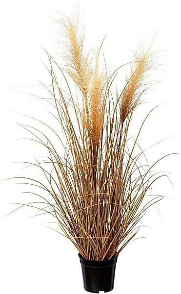 Kunstgras Pampasgras Gras, Creativ green, Höhe 76 cm günstig online kaufen