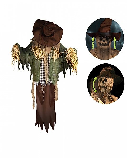 Horror-Shop Dekoobjekt Verfluchte Vogelscheuche mit Bewegung günstig online kaufen