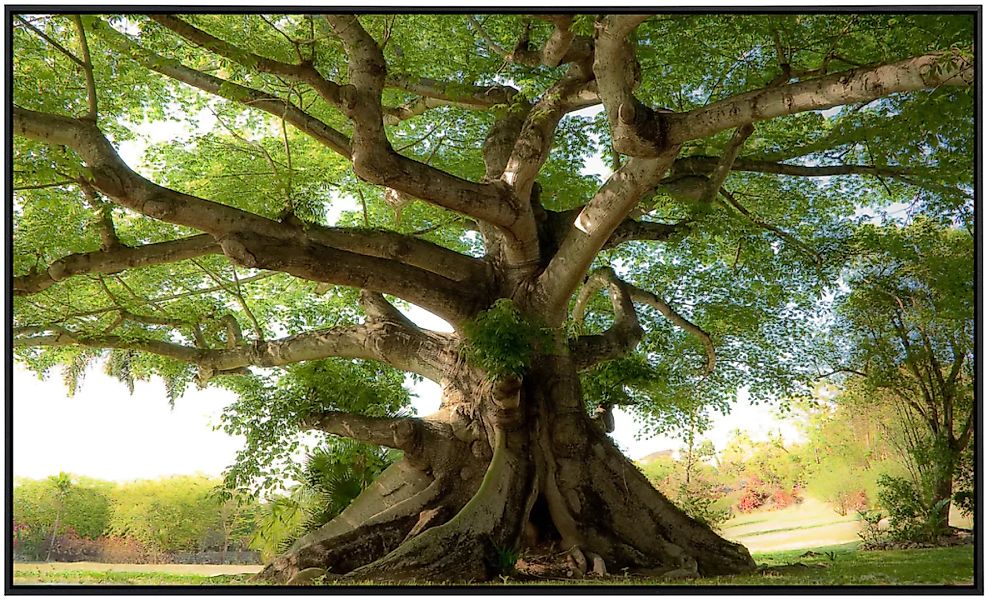 Papermoon Infrarotheizung »Friedlicher Baum«, sehr angenehme Strahlungswärm günstig online kaufen