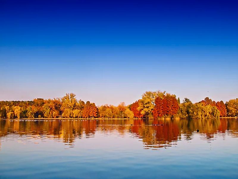 Papermoon Fototapete »Autumn Lake« glatt günstig online kaufen