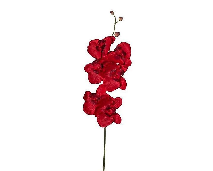 Kunstorchidee Kunstblume Phalaenopsis, künstlicher Orchideen-Zweig 76cm, Ga günstig online kaufen