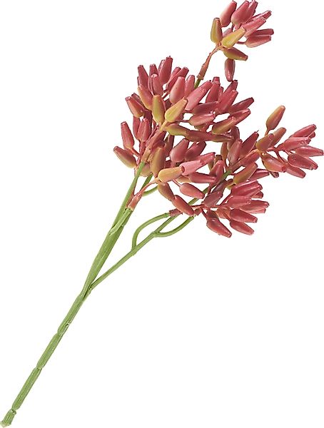 Kunstblume Sukkulenten Zweig, DPI, L 25 günstig online kaufen