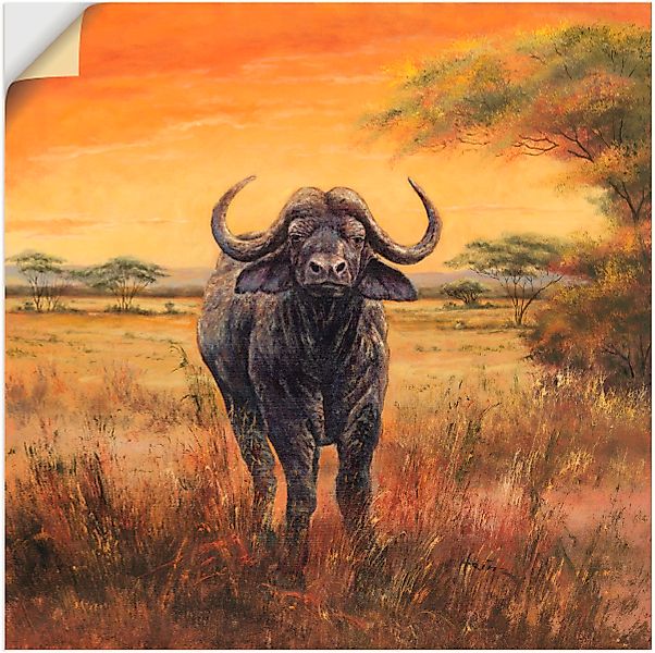 Artland Wandbild "Büffel", Wildtiere, (1 St.) günstig online kaufen