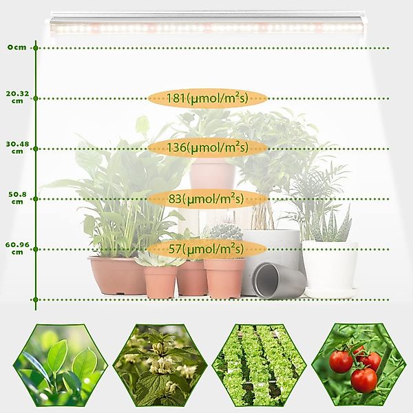 Laybasic Pflanzenlampe Volles Spektrum LED Pflanzenlampe günstig online kaufen