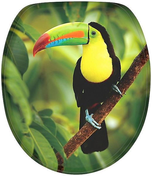 Sanilo WC-Sitz Toucan, mit Absenkautomatik, BxL: 37,7 x 42,0 - 47,0 cm günstig online kaufen