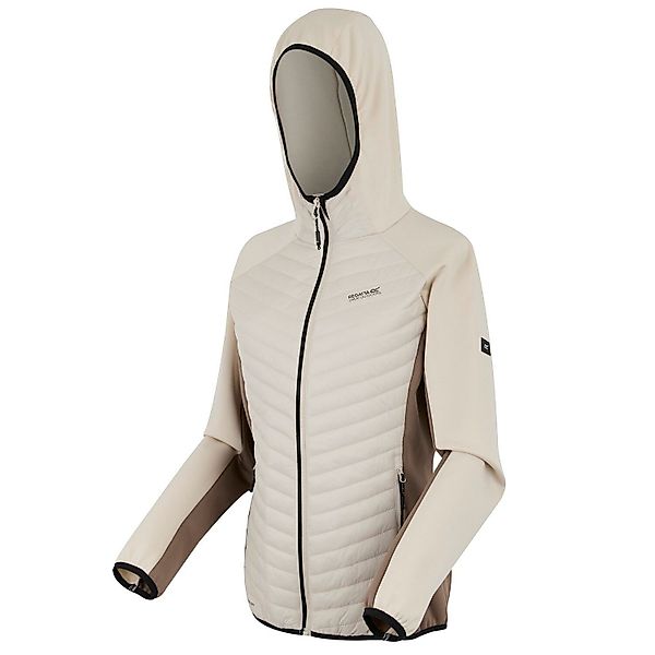 Regatta Softshelljacke Andreson Hybrid Softshelljacke günstig online kaufen