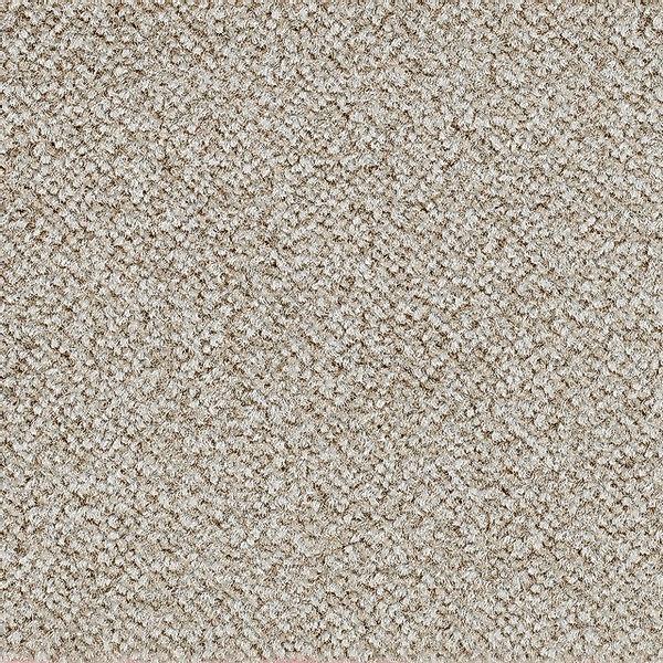 Bodenmeister Teppichboden »Juno, Velours - meliert, Made in Belgium«, recht günstig online kaufen