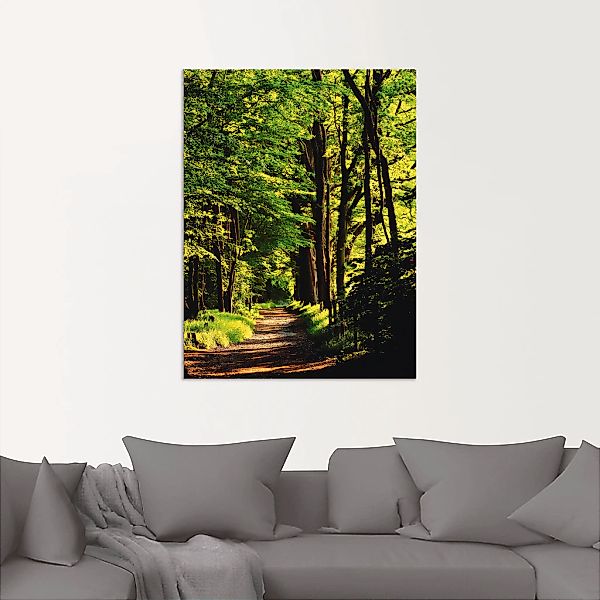Artland Wandbild »Weg im Wald«, Wald, (1 St.), als Alubild, Outdoorbild, Le günstig online kaufen