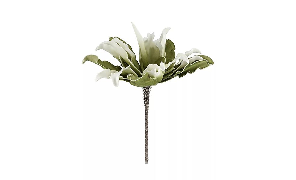 Soft Flower  Protea - grün - Kunststoff, Metall - 38 cm - Sconto günstig online kaufen