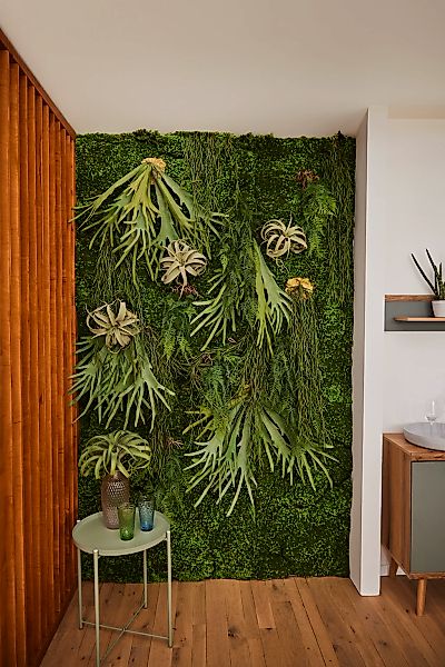 Botanic-Haus Künstliche Zimmerpflanze "Moosmatte" günstig online kaufen