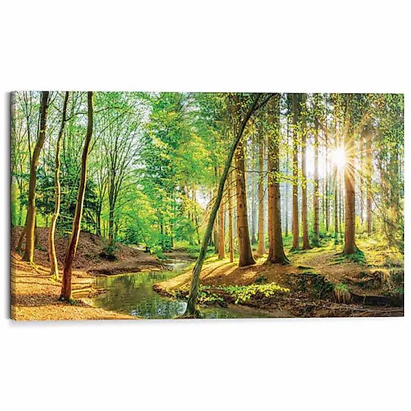 Reinders! Deco-Panel »Sonnenschein im Wald«, Hobbyraum - Grün - MDF - Wald günstig online kaufen