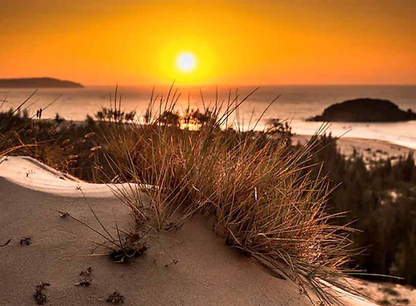 Papermoon Fototapete »Glowing Sun Bush View« glatt günstig online kaufen