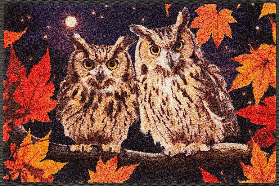 wash+dry by Kleen-Tex Fußmatte Night Owls, rechteckig, Höhe: 7 mm günstig online kaufen