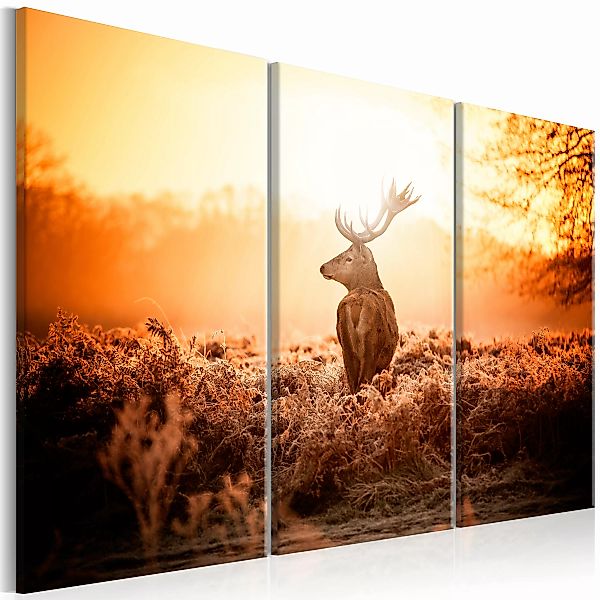 Wandbild - Deer In The Sun I günstig online kaufen