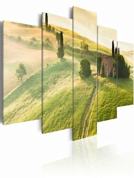 artgeist Wandbild Grüne Toskana mehrfarbig Gr. 200 x 100 günstig online kaufen